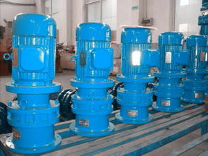 偉鑫牌B系列擺線針輪減速機(jī) XLD10與XLD11型號助您事業(yè)成功